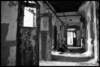 pax_06_small.jpg