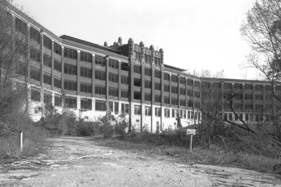 wh015.jpg