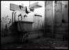 wsh_2007_010_small.jpg