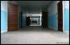 wsh_2007_013_small.jpg