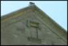 wsh_2008_034_small.jpg