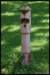 wsh_2008_042_small.jpg